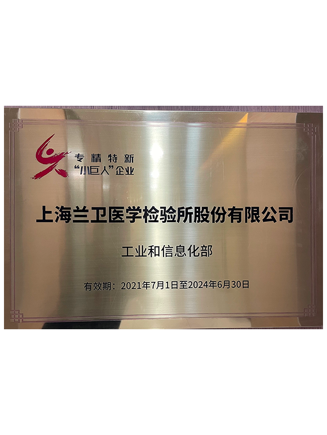 01 武汉Stake官网高新证书2022-2025年-1.png