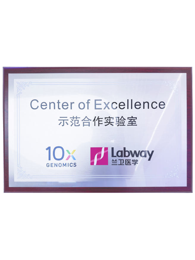 03 Stake官网与10X示范合作尝试室.png